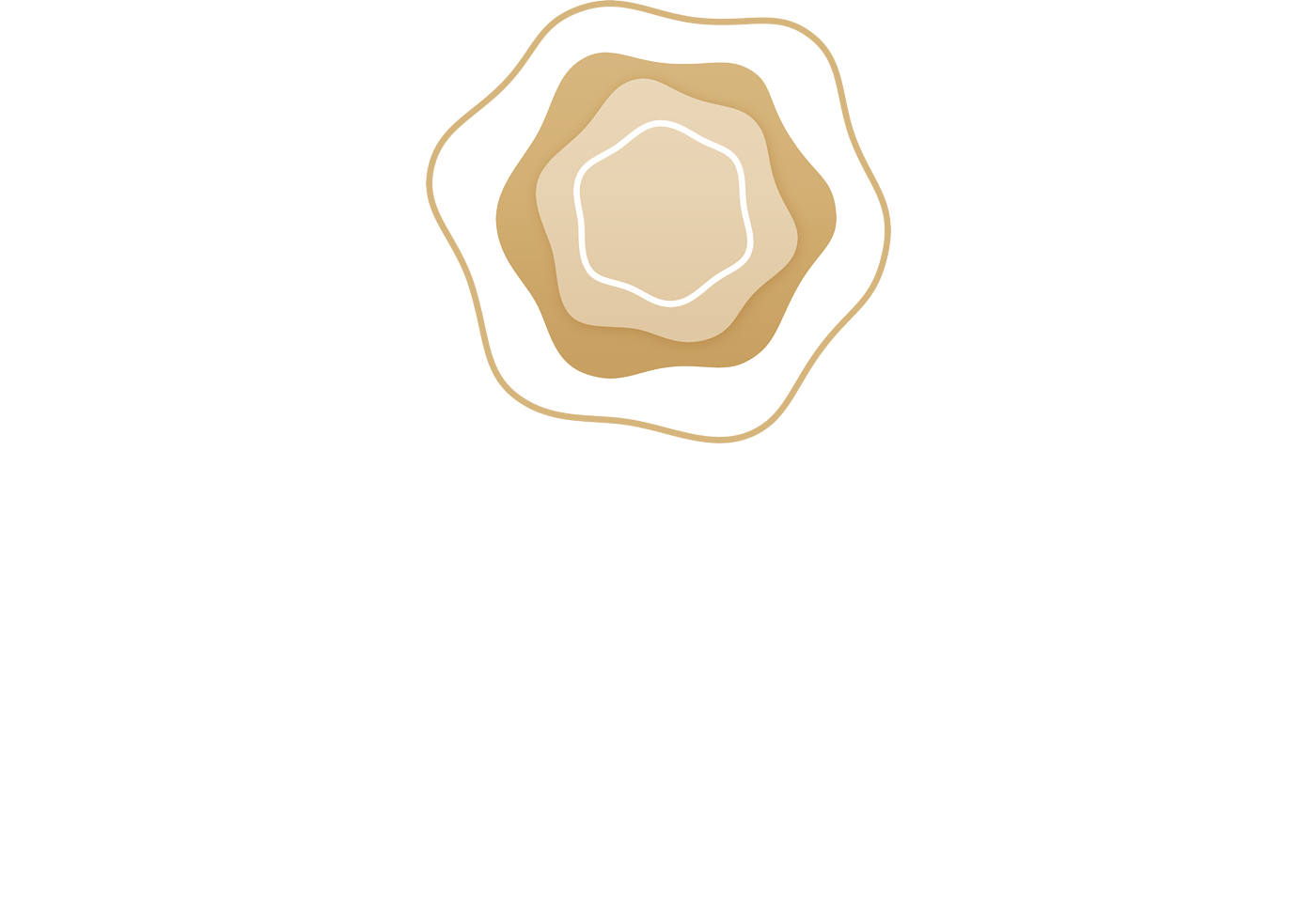 forstberg vielfalt logo