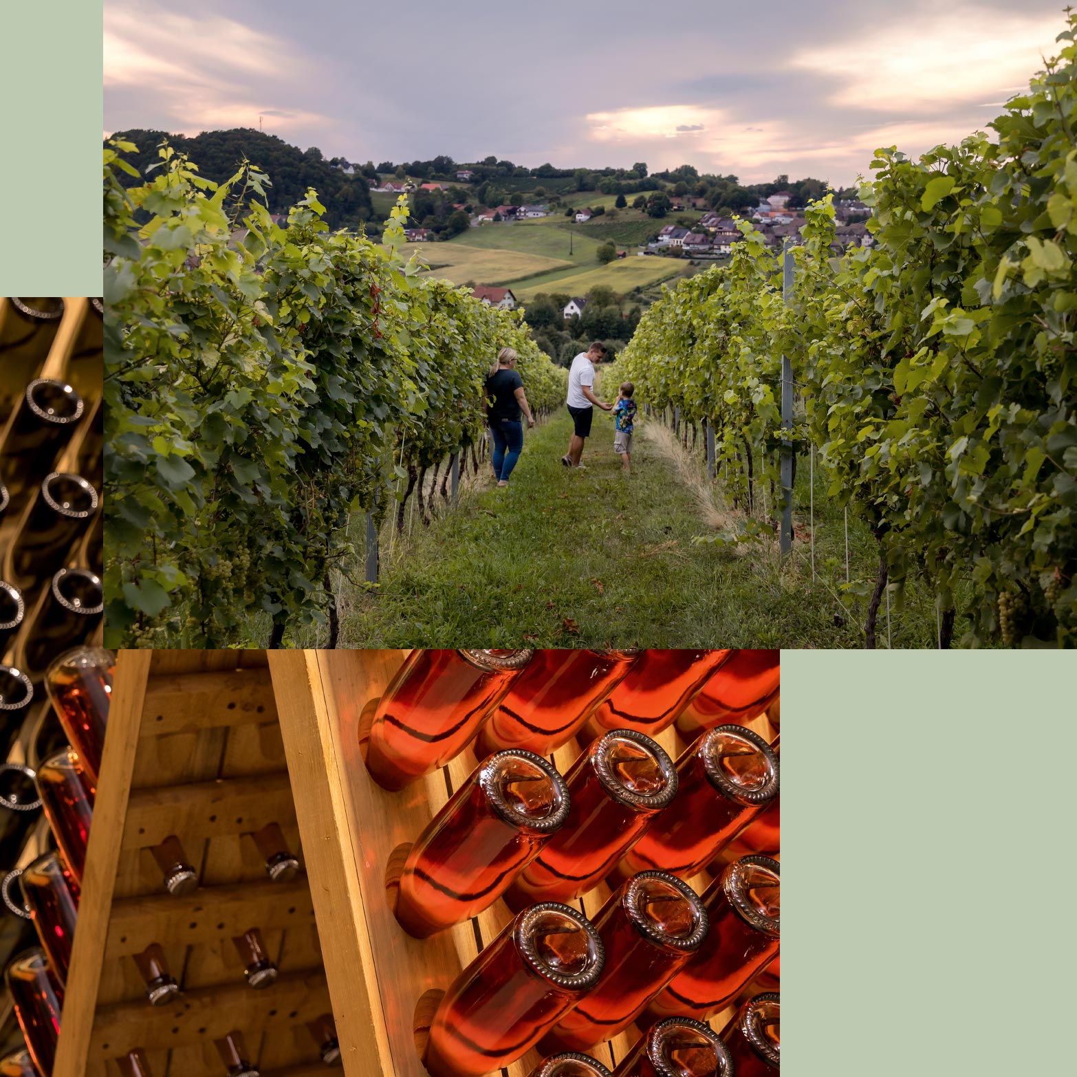 Forstberg Vielfalt in Gossendorf bei Feldbach Steiermark Stefanie und Florian Wippel Wein Sekt Online-Shop