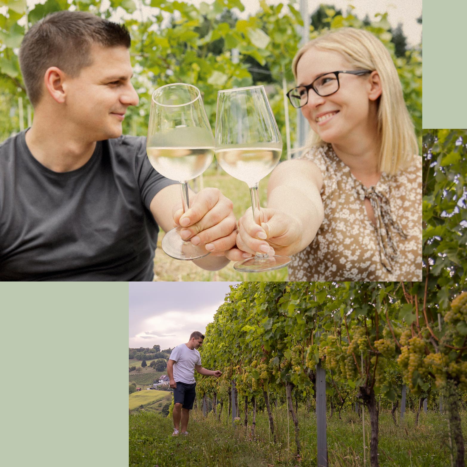 Forstberg Vielfalt in Gossendorf bei Feldbach Steiermark Stefanie und Florian Wippel Wein Sekt Online-Shop