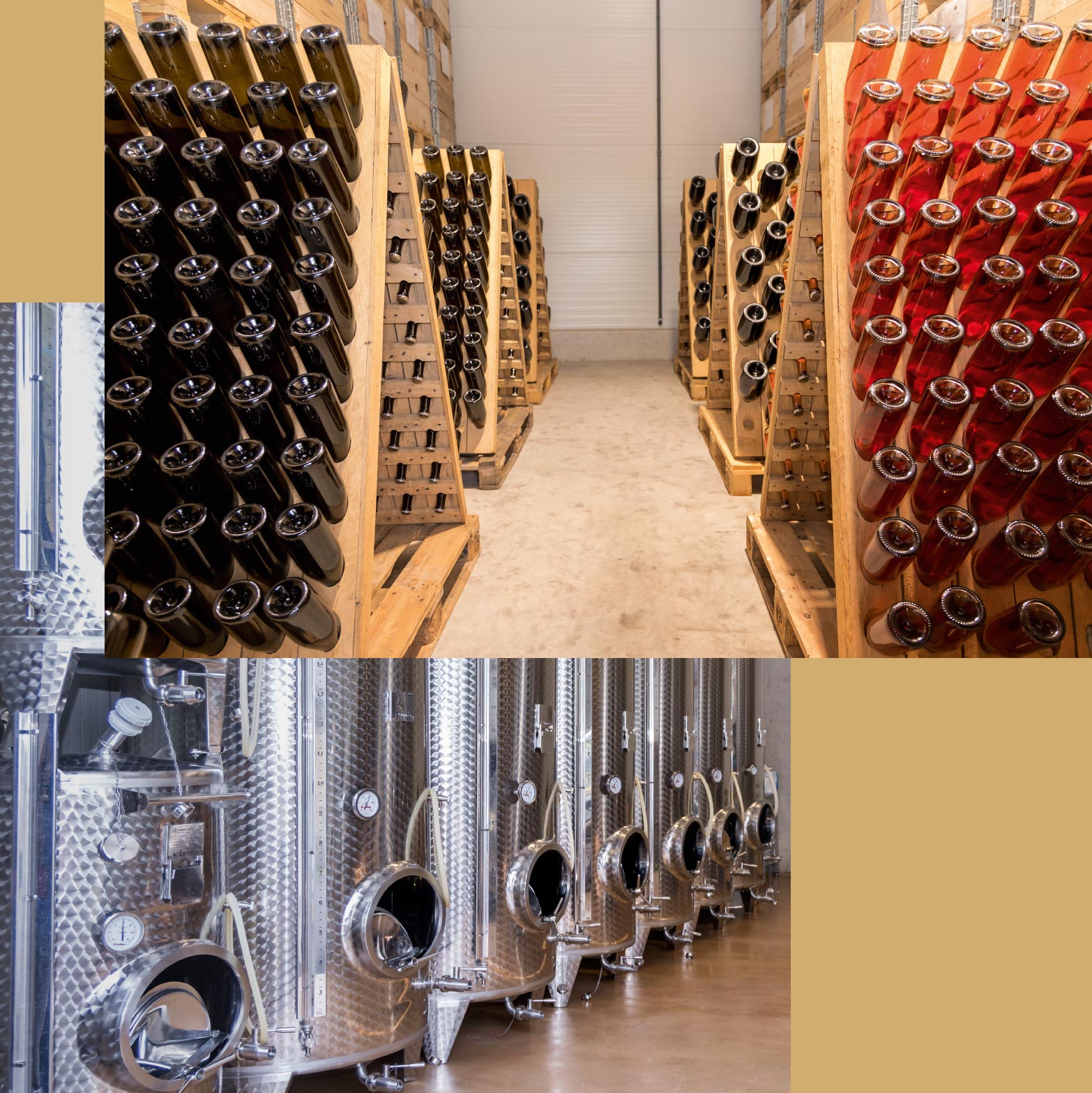 Forstberg Vielfalt in Gossendorf bei Feldbach Steiermark Stefanie und Florian Wippel Wein Sekt Online-Shop