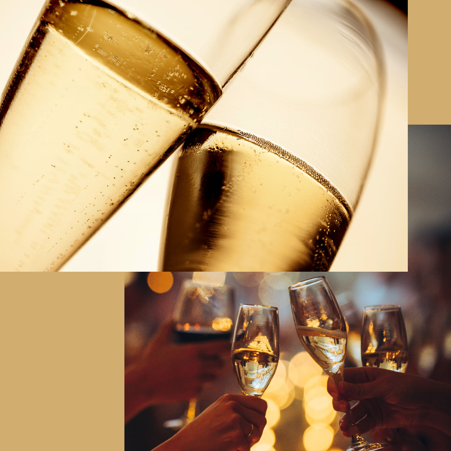 Forstberg Vielfalt in Gossendorf bei Feldbach Steiermark Stefanie und Florian Wippel Wein Sekt Online-Shop