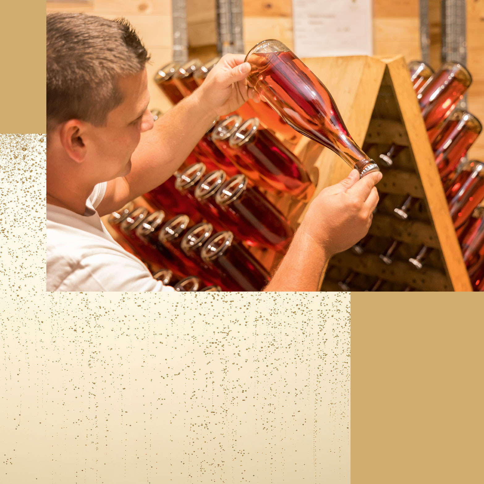 Forstberg Vielfalt in Gossendorf bei Feldbach Steiermark Stefanie und Florian Wippel Wein Sekt Online-Shop