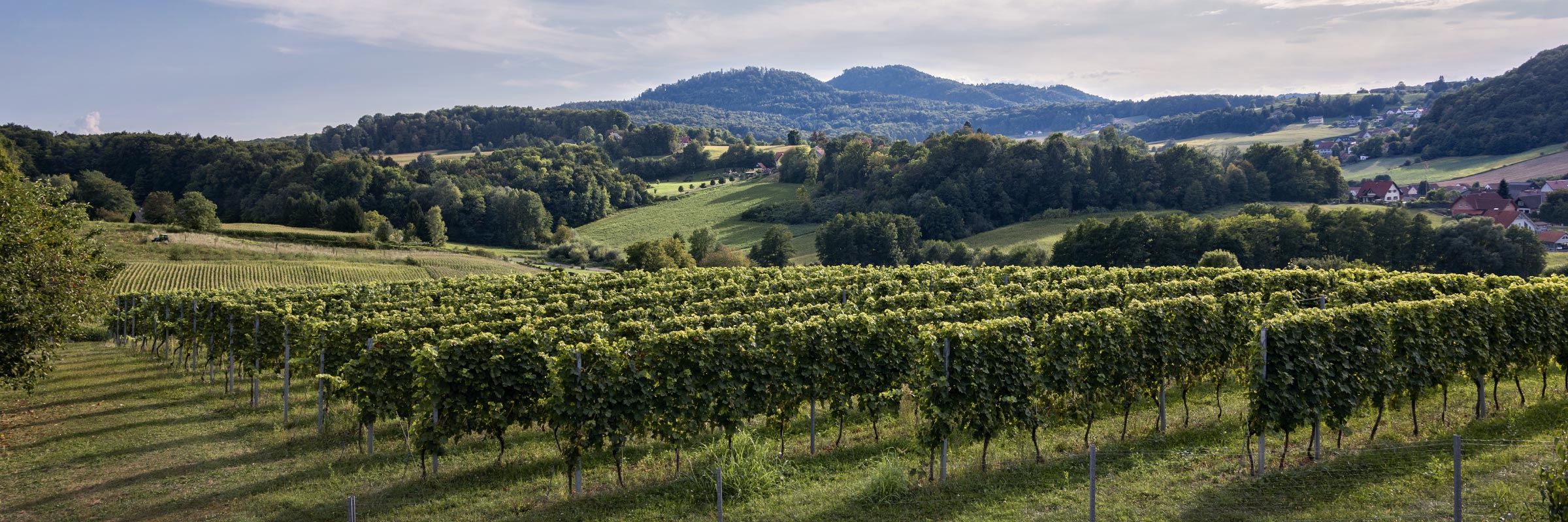 Forstberg Vielfalt in Gossendorf bei Feldbach Steiermark Stefanie und Florian Wippel Wein Sekt Online-Shop