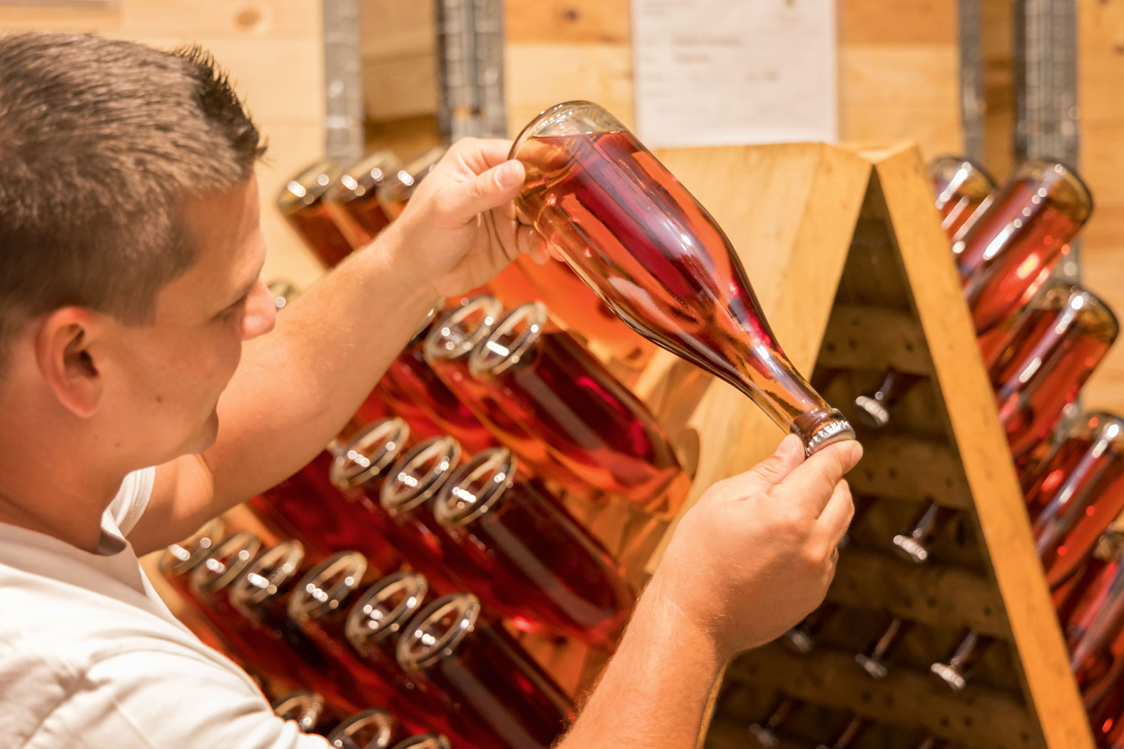 forstberg_sektkellerei_feldbach_steiermark_5